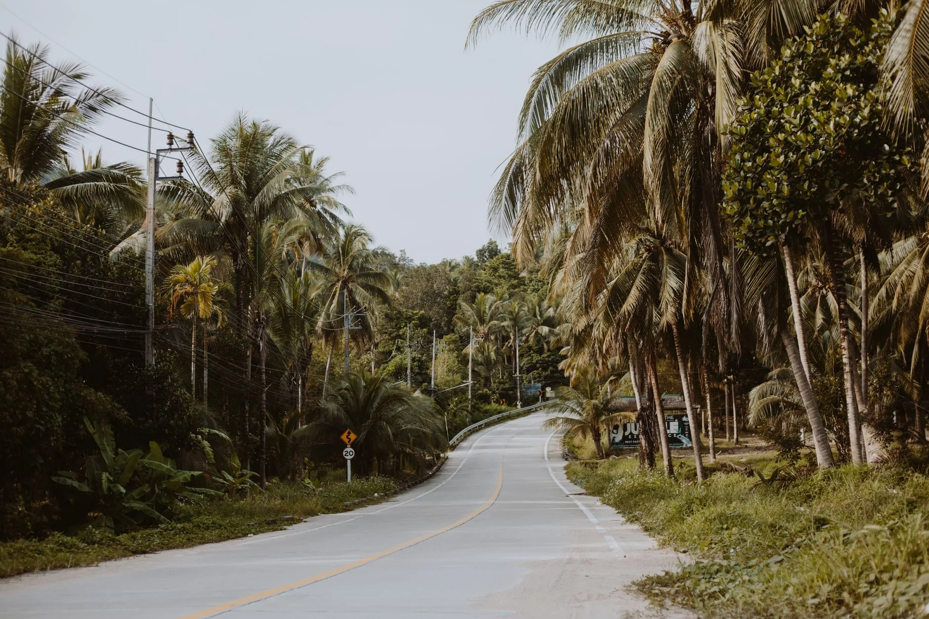 情降案例復盤:從真實經歷看三個階段與成效時間線插图1 A quiet asphalt road in a tropical setting lined with lush palm trees, ideal for travel and nature themes. 泰国佛牌与法事内容说明图